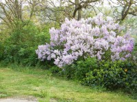 /album/fenykepgaleria/kep-114-jpg1/